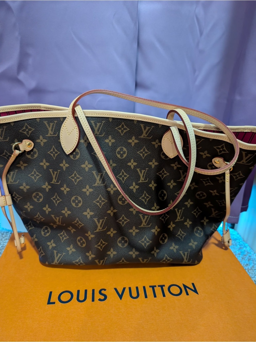 Louis Vuitton Neverfull Mint Condition